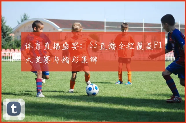 体育直播盛宴：55直播全程覆盖F1大奖赛与精彩集锦